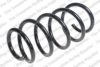 ROC CS8131 Coil Spring